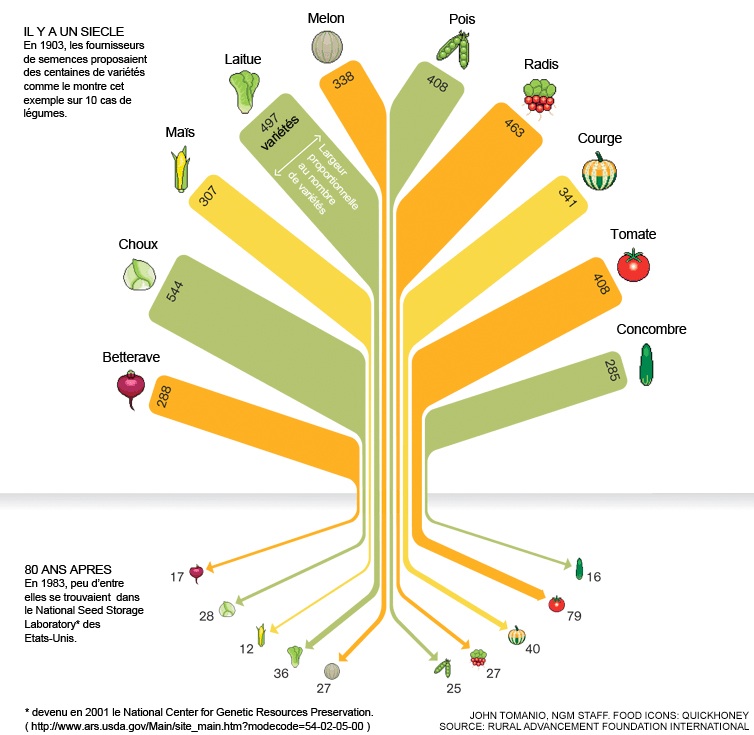 food diversity tree
