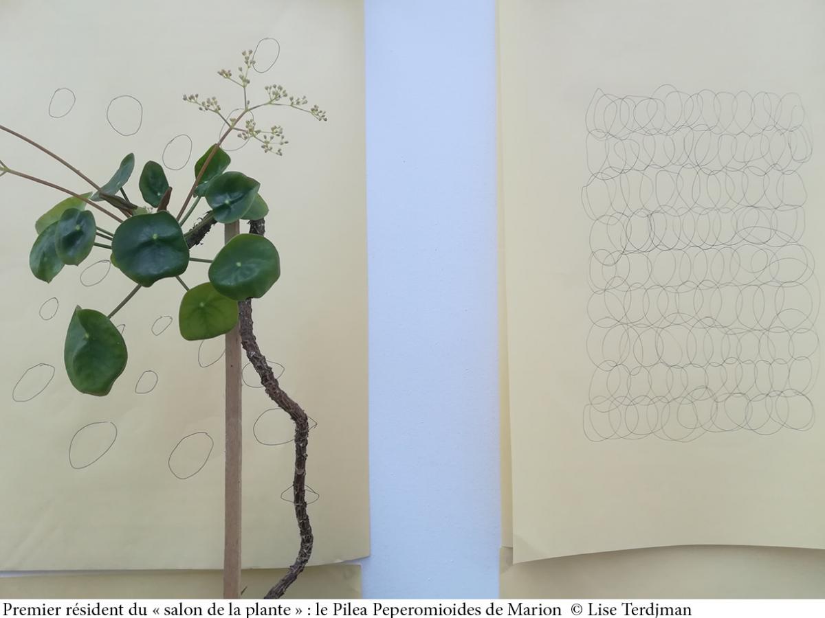 Salon de la plante © Lise Terdjman - Laboratoires d'Aubervilliers