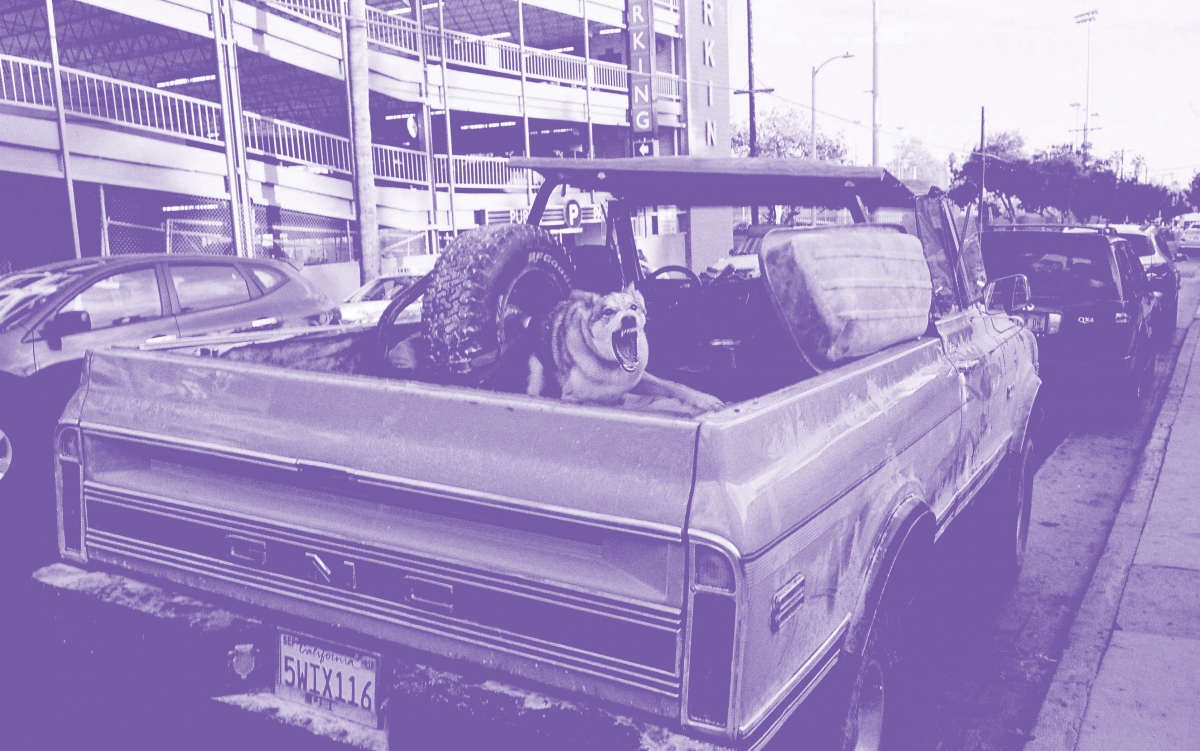 © Christophe Berlet