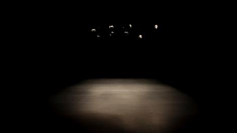 Crocodiles and Alligators 1/14 ©Ouidade Soussi-Chiadmi