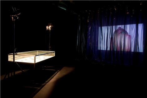 Toxic, film et installation du 18 au 28 avril 2012, 6/7 ©Ouidade Soussi Chiadmi
