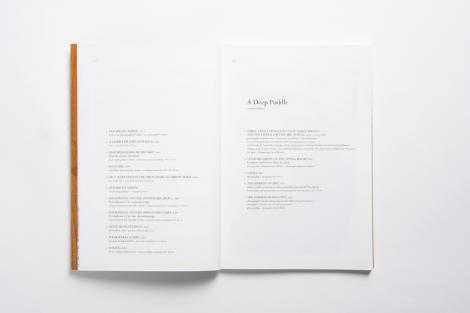 A Deep Puddle & Piquillo ou le Rêve de Mr. Hululle - 3/7