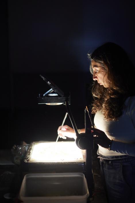 Fête de la moisson — In-Levarium, Camila Eslava— © Charlène Yves