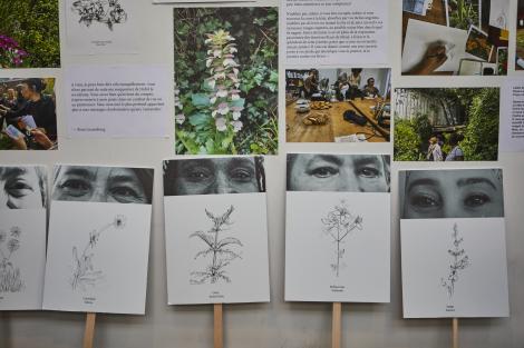 Carto-herbier de Paula Valero © Charlène Yves