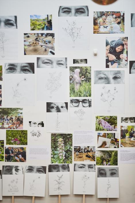 Carto-herbier de Paula Valero © Charlène Yves