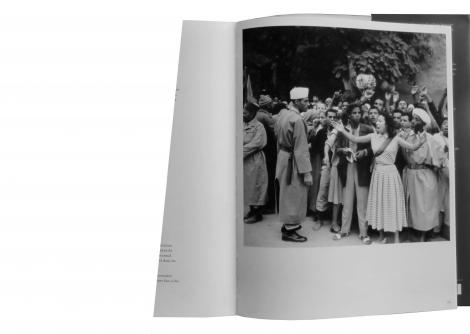 "Libération guidant" (collage, Marion von Osten, 2011) 1/3